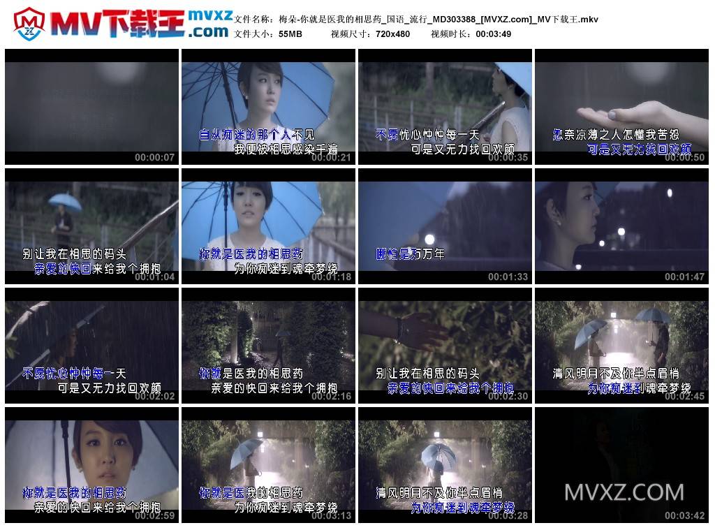 梅朵-你就是医我的相思药_国语_流行_MD303388